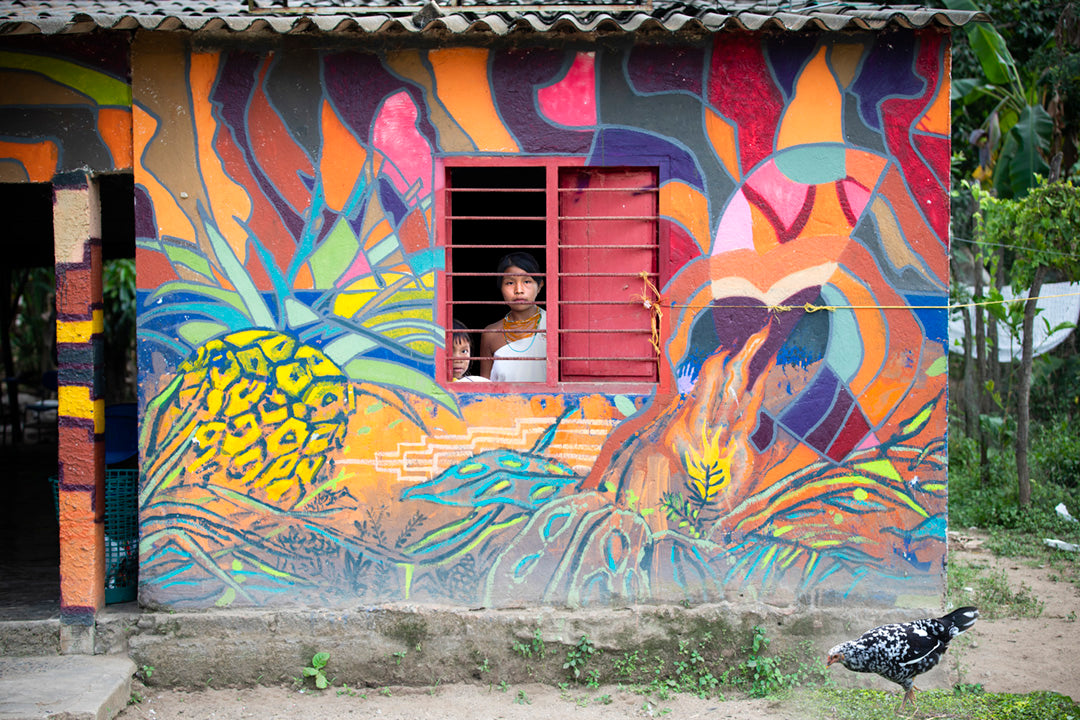 Painted House - Palomino, Colombia