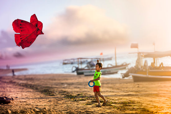 Red Kite - Bali, Indonesia