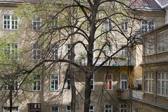 Load image into Gallery viewer, View of Courtyard from Freud&amp;#39;s Study, Berggasse 19, Vienna
